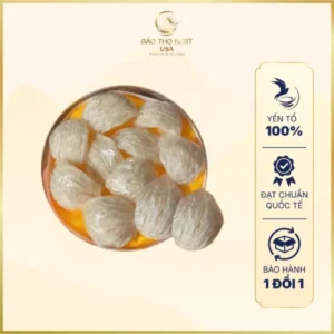 YẾN TỔ RÚT LÔNG ƯỚT