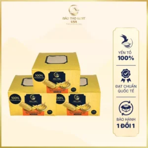 YẾN BÁT VÀNG TỰ SÔI VỊ GỪNG