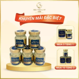 [COMBO ƯU ĐÃI] YẾN HŨ VỊ NHÂN SÂM