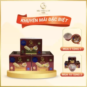 [COMBO ƯU ĐÃI] YẾN THỐ TỰ SÔI SONG HỶ